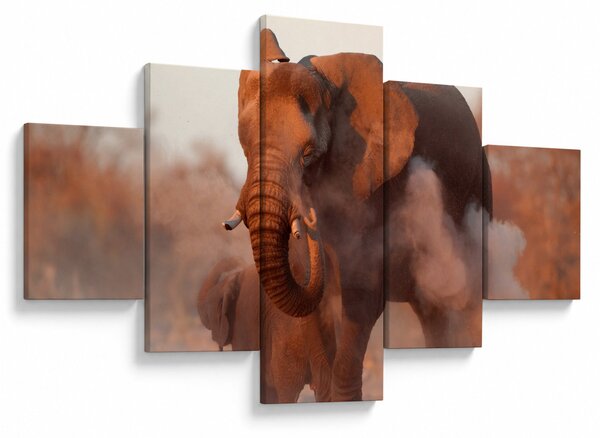 Obraz - Velký slon africký (125x70 cm)