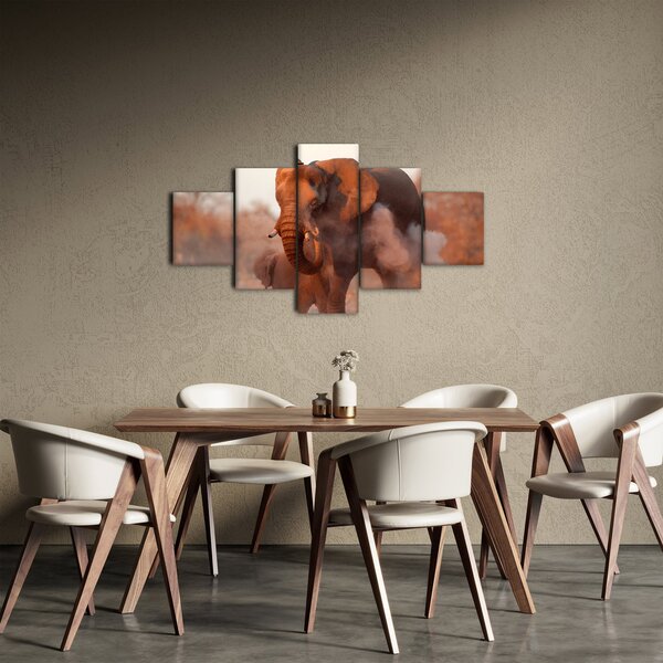 Obraz - Velký slon africký (125x70 cm)