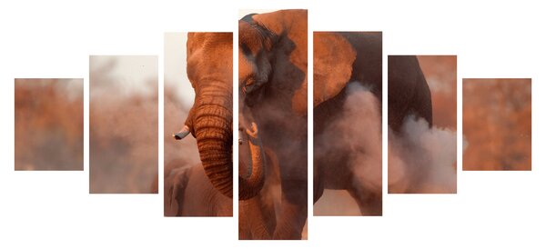 Obraz - Velký slon africký (210x100 cm)