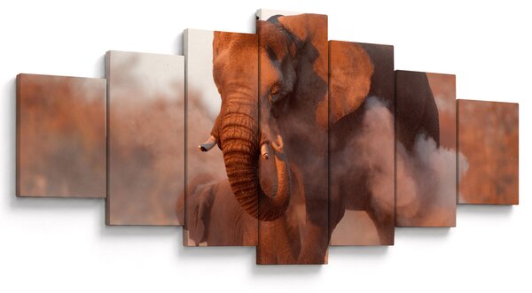 Obraz - Velký slon africký (210x100 cm)
