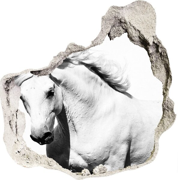 Fototapeta díra na zeď Bílý kůň nd-p-14270832