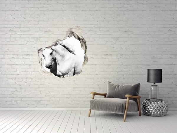 Fototapeta díra na zeď Bílý kůň nd-p-14270832
