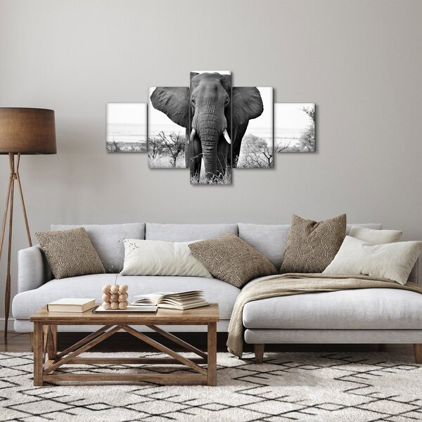 Obraz - Slon africký II. (125x70 cm)
