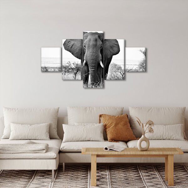 Obraz - Slon africký II. (125x70 cm)