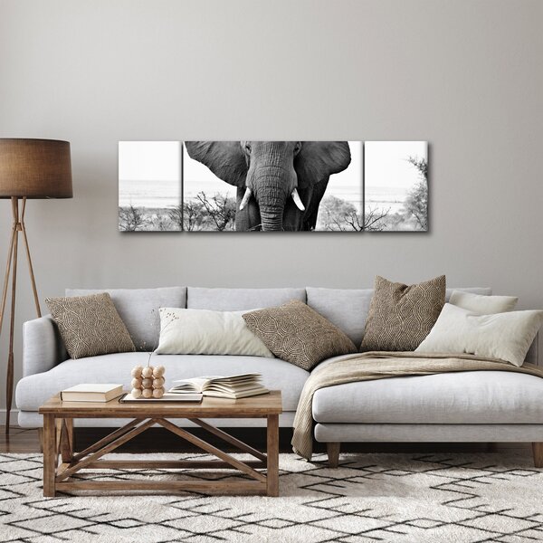 Obraz - Slon africký II. (170x50 cm)