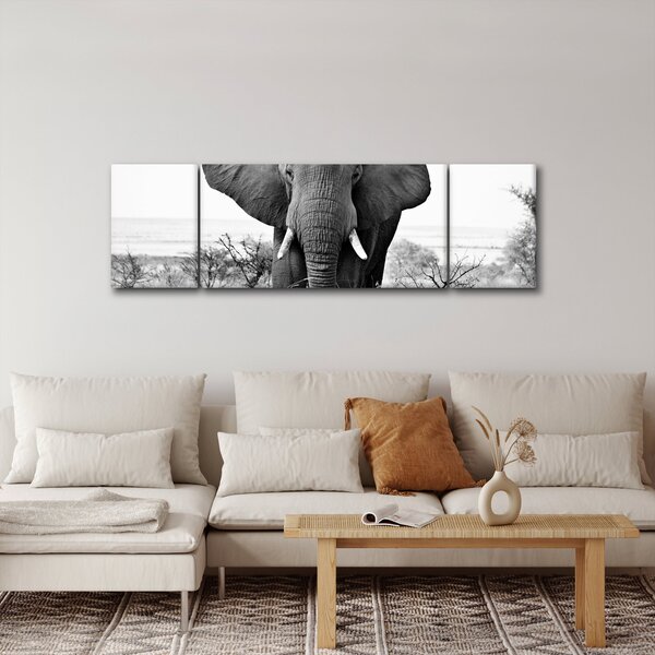 Obraz - Slon africký II. (170x50 cm)