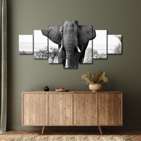 Obraz - Slon africký II. (210x100 cm)