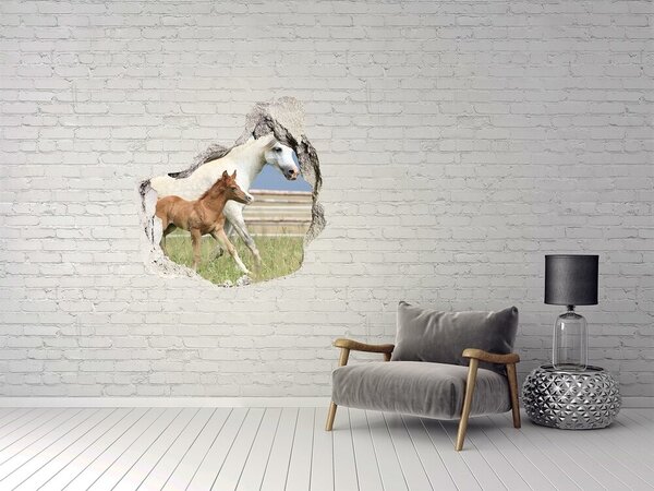Díra 3D fototapeta na stěnu Kobyla s hříbětem nd-p-159365843