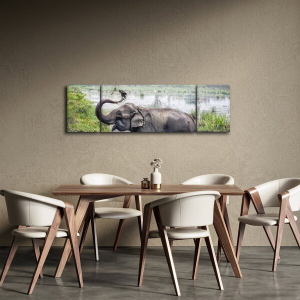 Obraz - Koupající se slon (170x50 cm)