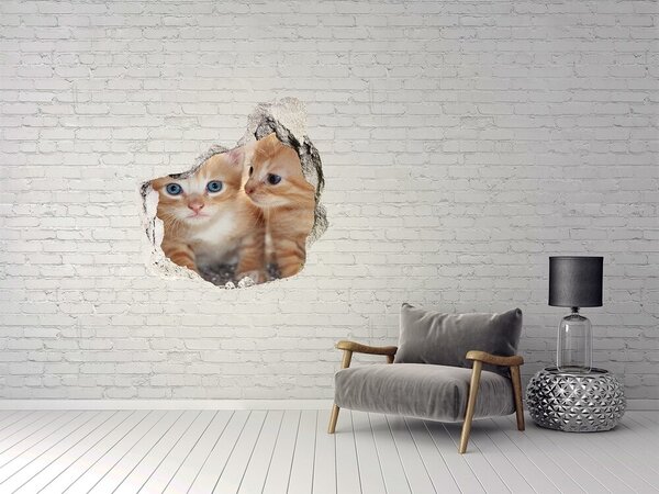 Díra 3D fototapeta nálepka Koťátka nd-p-159538391