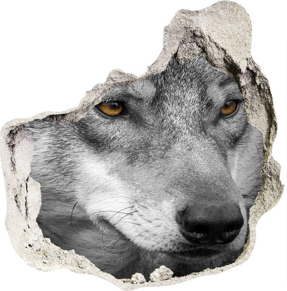 Díra 3D fototapeta na stěnu nálepka Vlk nd-p-103311727