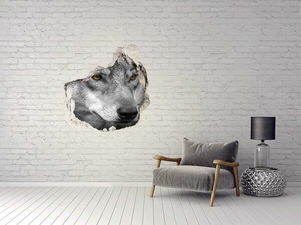 Díra 3D fototapeta na stěnu nálepka Vlk nd-p-103311727