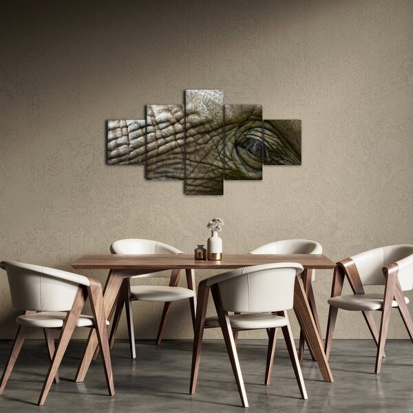 Obraz - Detailní fotografie starého sloního oka (125x70 cm)