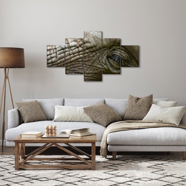 Obraz - Detailní fotografie starého sloního oka (125x70 cm)