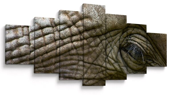 Obraz - Detailní fotografie starého sloního oka (210x100 cm)