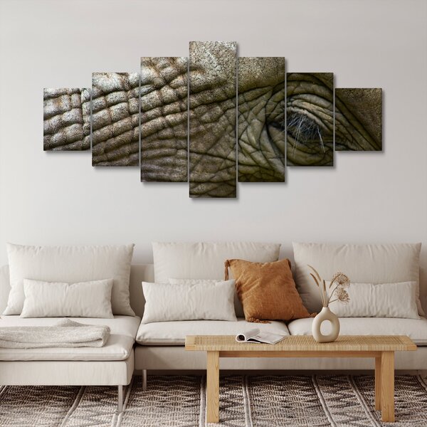 Obraz - Detailní fotografie starého sloního oka (210x100 cm)