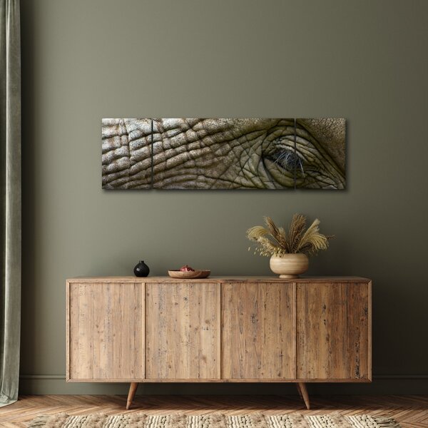 Obraz - Detailní fotografie starého sloního oka (170x50 cm)
