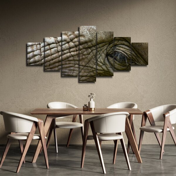 Obraz - Detailní fotografie starého sloního oka (210x100 cm)