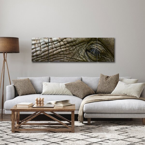 Obraz - Detailní fotografie starého sloního oka (170x50 cm)