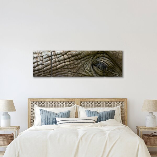 Obraz - Detailní fotografie starého sloního oka (170x50 cm)