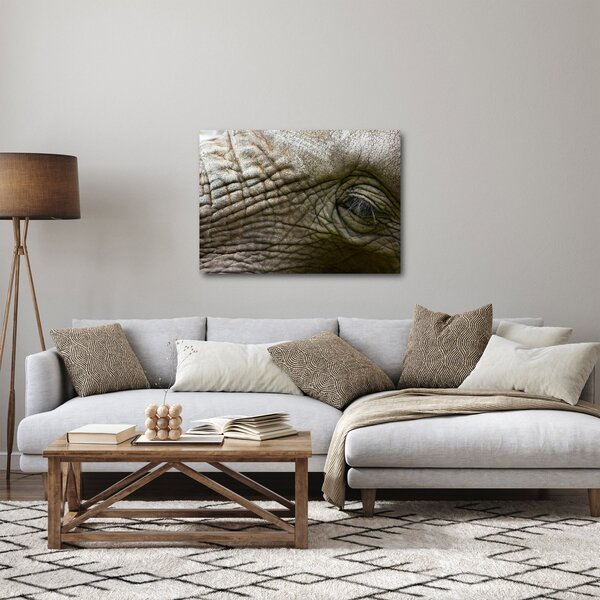 Obraz - Detailní fotografie starého sloního oka (70x50 cm)