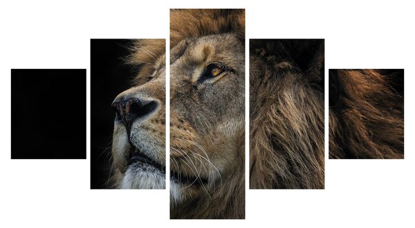 Obraz - Majestátní lev (125x70 cm)