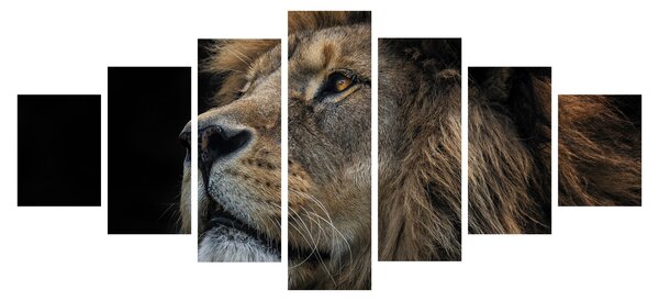 Obraz - Majestátní lev (210x100 cm)