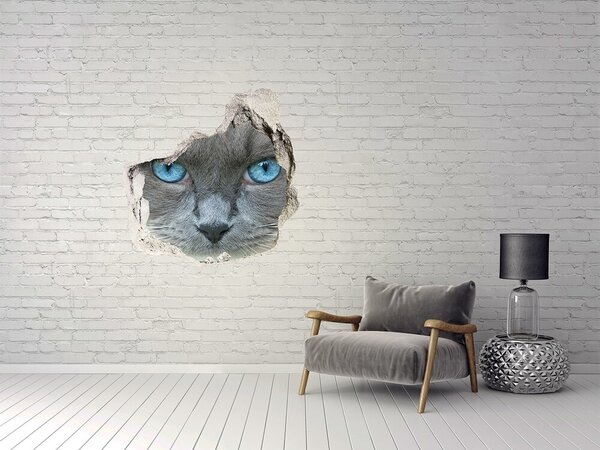 Díra 3D fototapeta na stěnu Koška modré oči nd-p-41430581