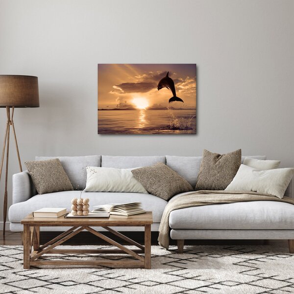 Obraz - Delfín při západu slunce (70x50 cm)