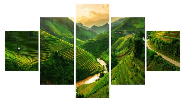 Obraz - Rýžové terasy Mu Cang Chai (125x70 cm)