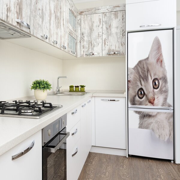 Nálepka fototapeta lednička Šedá kočka FridgeStick-70x190-f-80791907