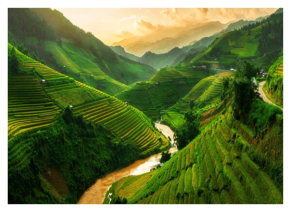 Obraz - Rýžové terasy Mu Cang Chai (70x50 cm)