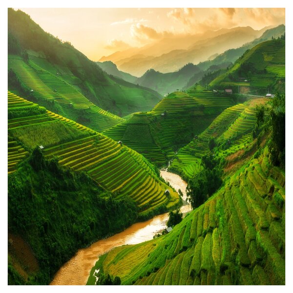 Obraz - Rýžové terasy Mu Cang Chai (30x30 cm)