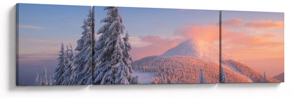 Obraz - Zimní krajina (170x50 cm)