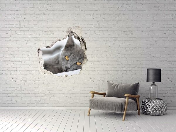 Díra 3D fototapeta nálepka Šedá kočka nd-p-43951156
