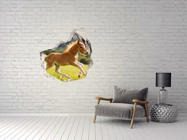 Díra 3D fototapeta nálepka Hříbě ve cvalu nd-p-44307287