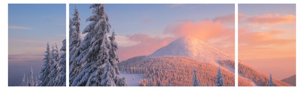 Obraz - Zimní krajina (170x50 cm)