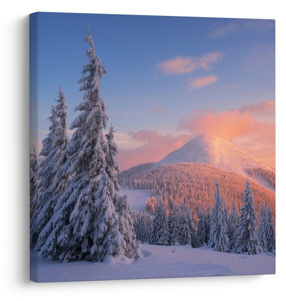 Obraz - Zimní krajina (30x30 cm)