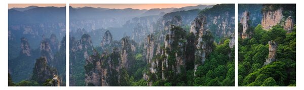Obraz - Národní lesní park Zhangjiajie (170x50 cm)