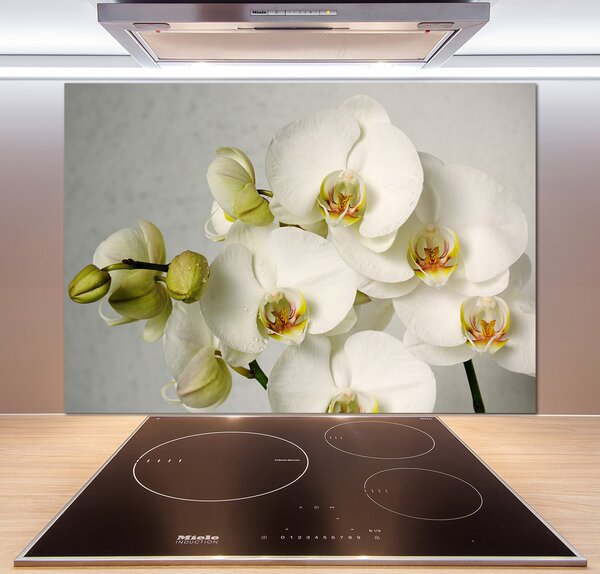 Panel do kuchyně Bílá orchidej pl-pksh-100x70-f-67521473