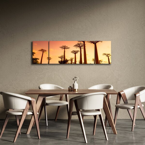 Obraz - Západ slunce v uličce Baobab (170x50 cm)