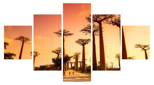 Obraz - Západ slunce v uličce Baobab (125x70 cm)