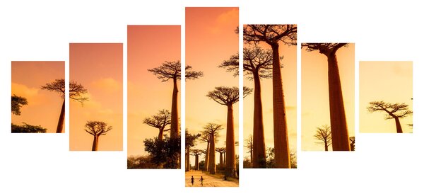 Obraz - Západ slunce v uličce Baobab (210x100 cm)