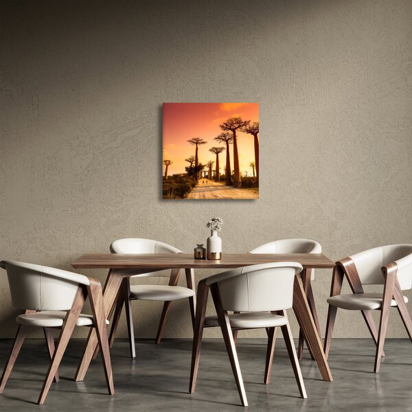 Obraz - Západ slunce v uličce Baobab (30x30 cm)