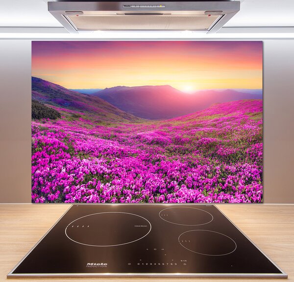 Panel do kuchyně Růžové kopce pl-pksh-100x70-f-72586785