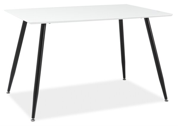 Jídelní stůl - FLORO, 120x80, bílá/černá
