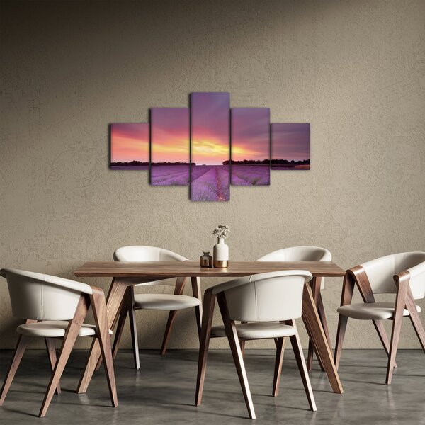 Obraz - Levandulové pole (125x70 cm)