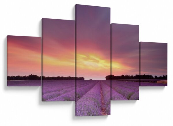 Obraz - Levandulové pole (125x70 cm)
