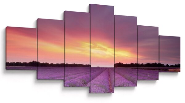 Obraz - Levandulové pole (210x100 cm)