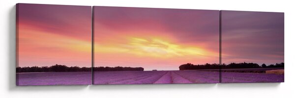 Obraz - Levandulové pole (170x50 cm)